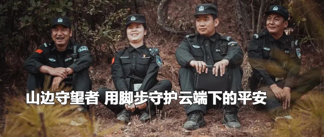 云南政法