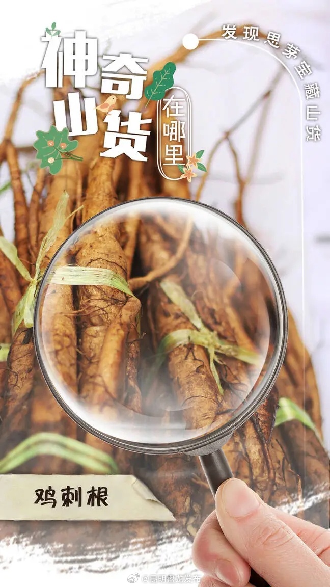 有一种叫云南的生活 | 思茅这些“山货” 你想不到的神奇！
