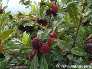 昆明经济技术开发区管委会