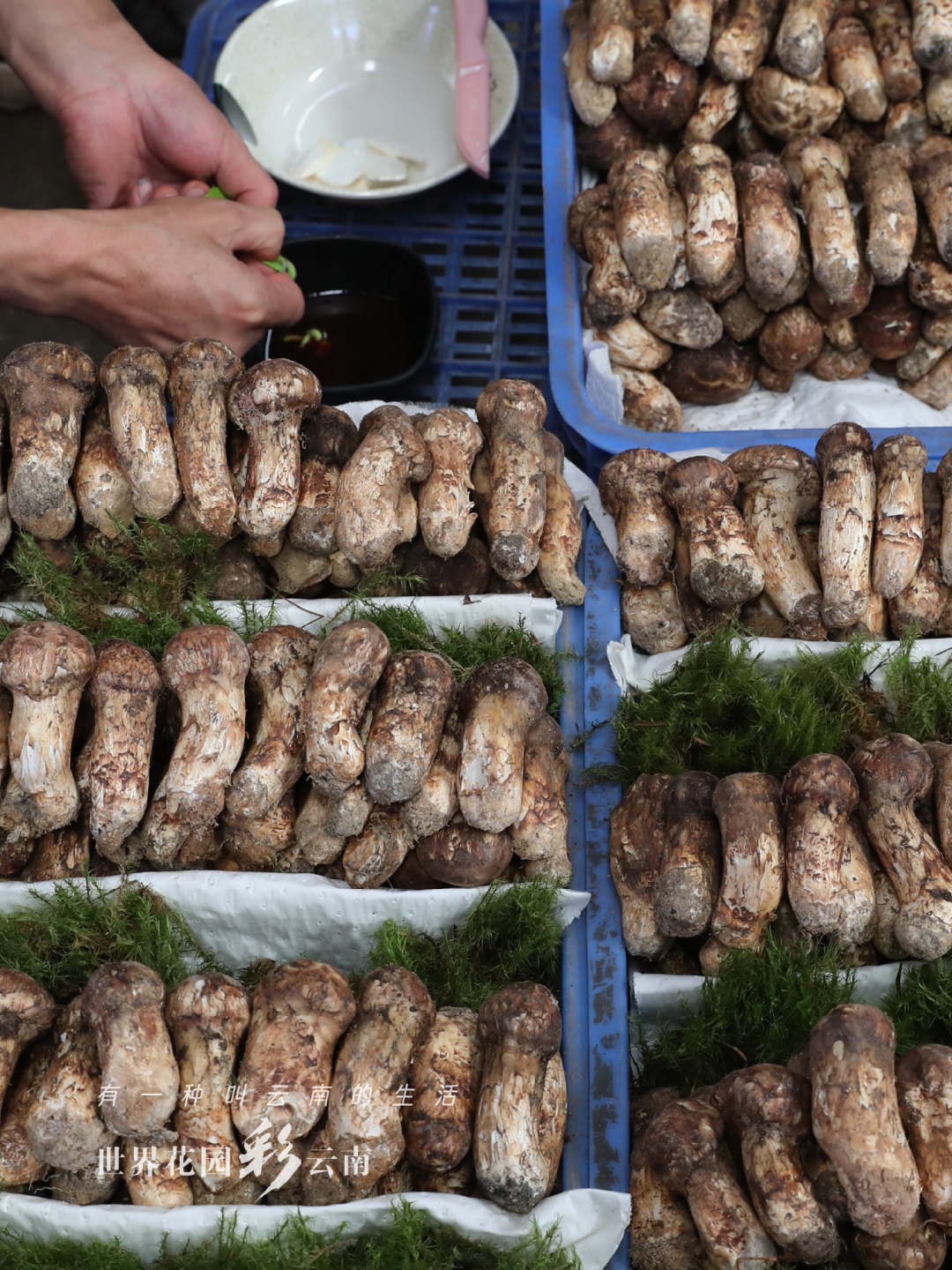 云南省文化和旅游厅