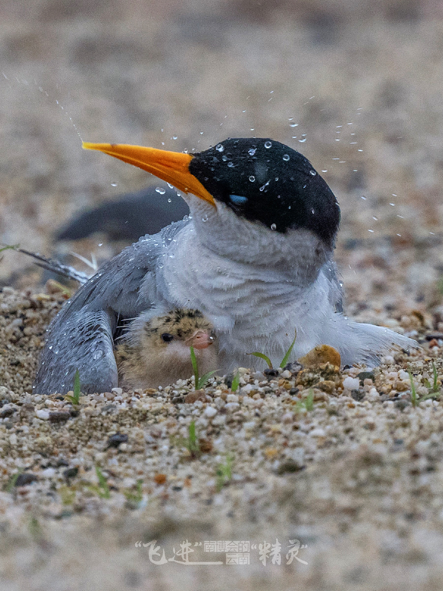 云南省文化和旅游厅