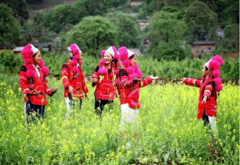 云南省文化和旅游厅