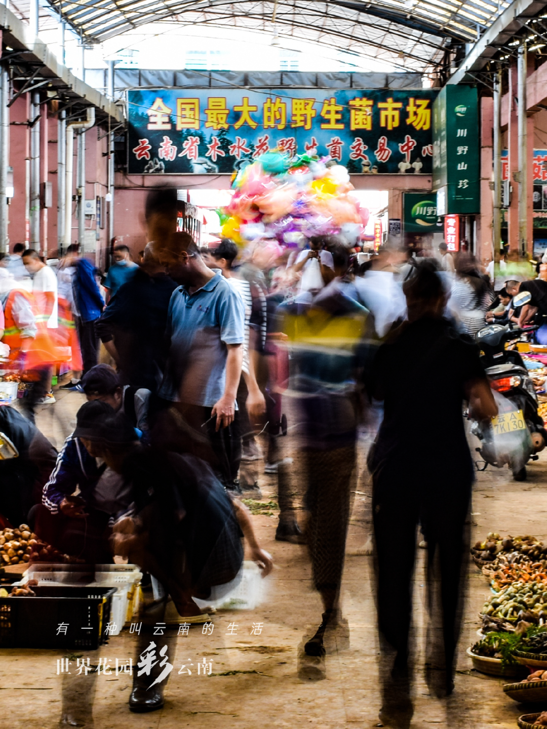 云南省文化和旅游厅