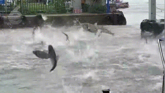 昆明信息港/cnkmxxg