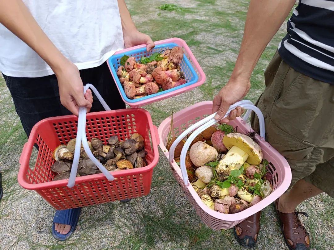 晋宁诗意的栖居地