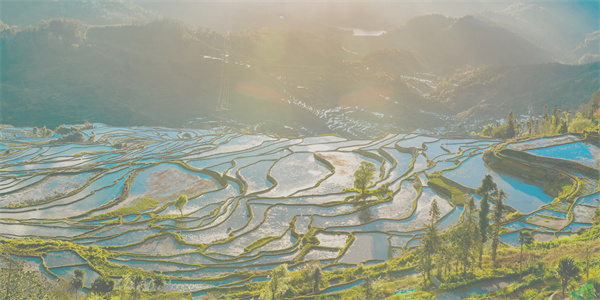 云南省文化和旅游厅