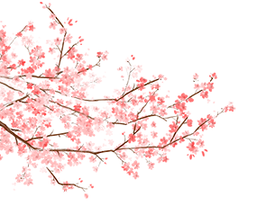 云南省中医医院