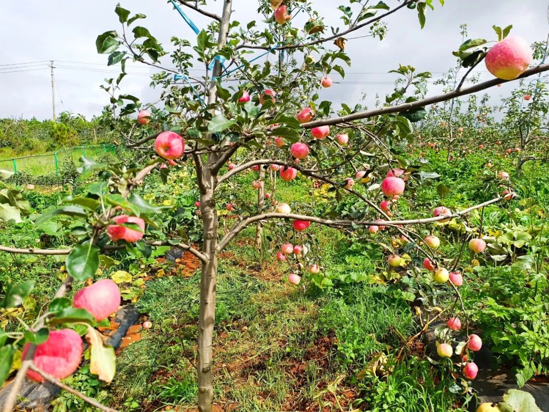 晋宁诗意的栖居地