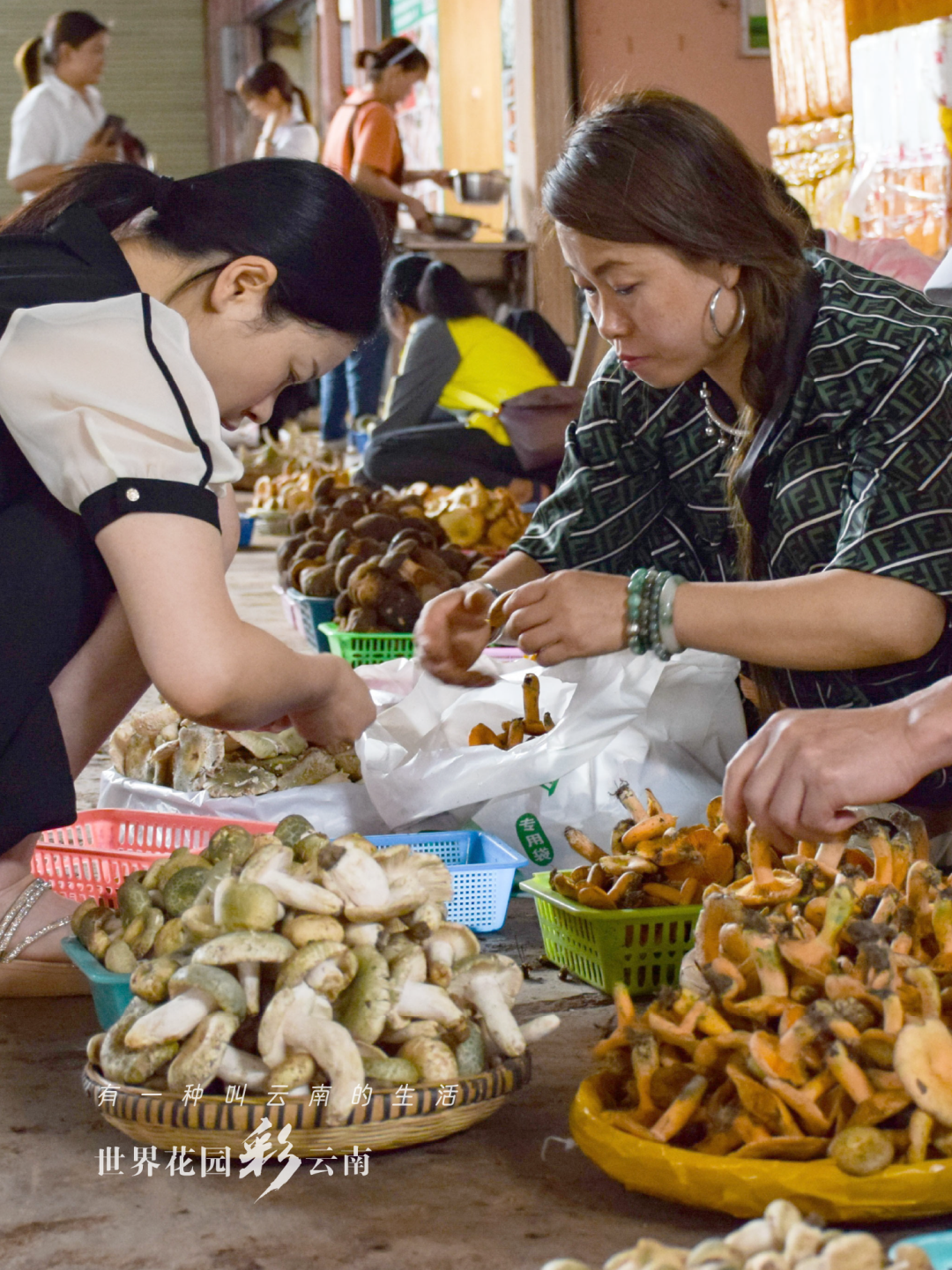 云南省文化和旅游厅