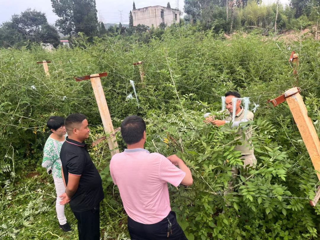 昆明阳宗海风景名胜区
