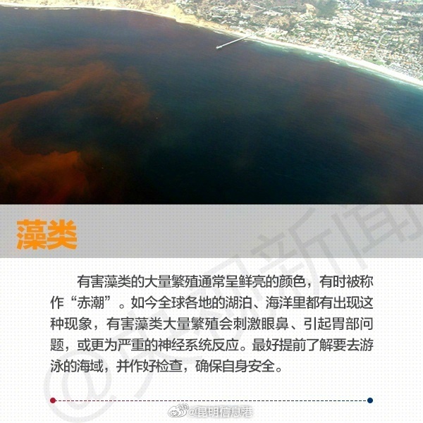 昆明信息港微博