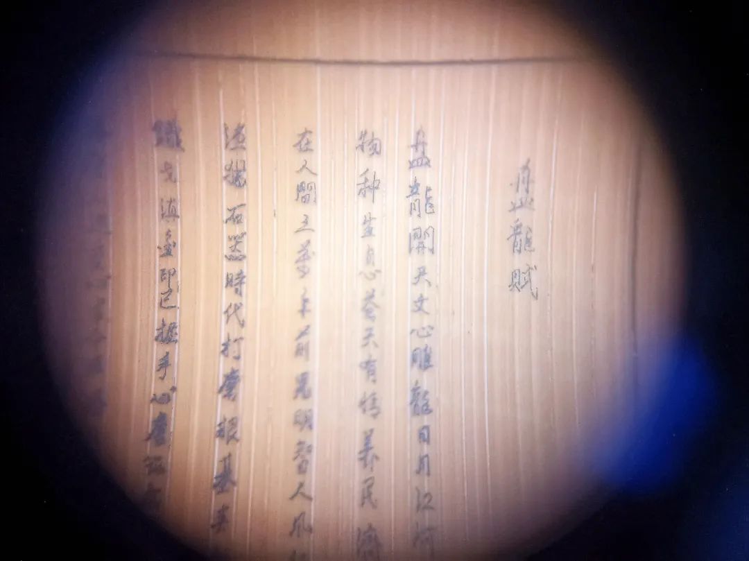 微观盘龙
