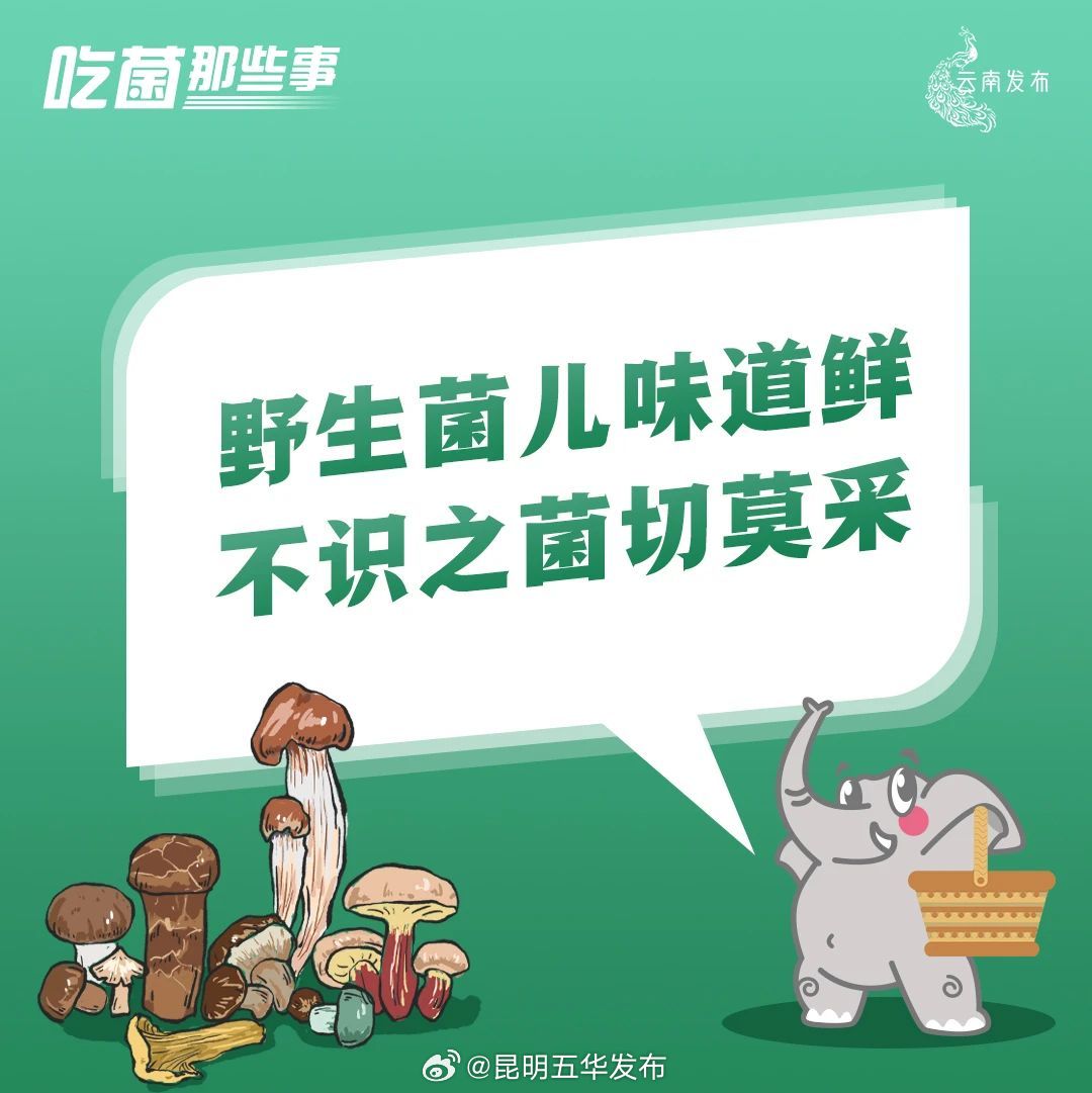 昆明五华发布