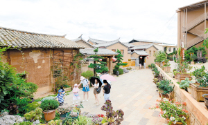 天气有多凉爽,旅游就有多火热 7月以来,云南日均接待团队游客45890人次