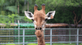 昆明市西山区图书馆