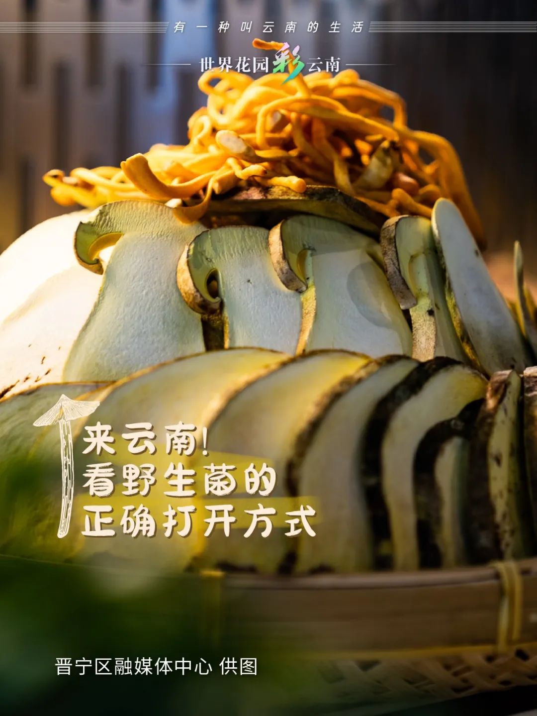 云南省文化和旅游厅