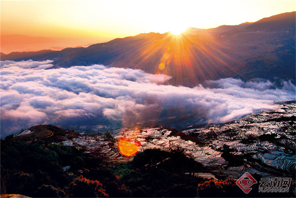 云南省文化和旅游厅