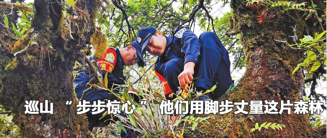 云南政法