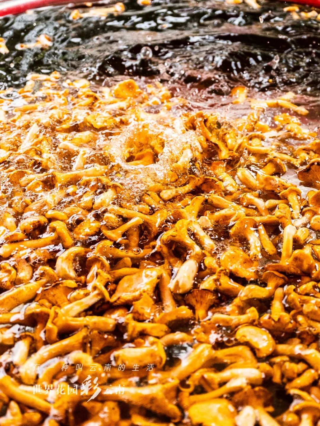 云南省文化和旅游厅