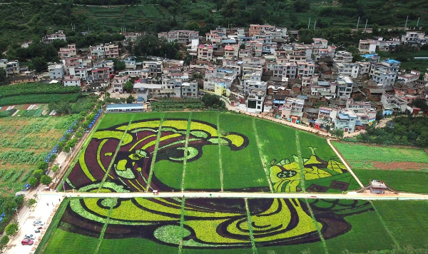 云南省文化和旅游厅