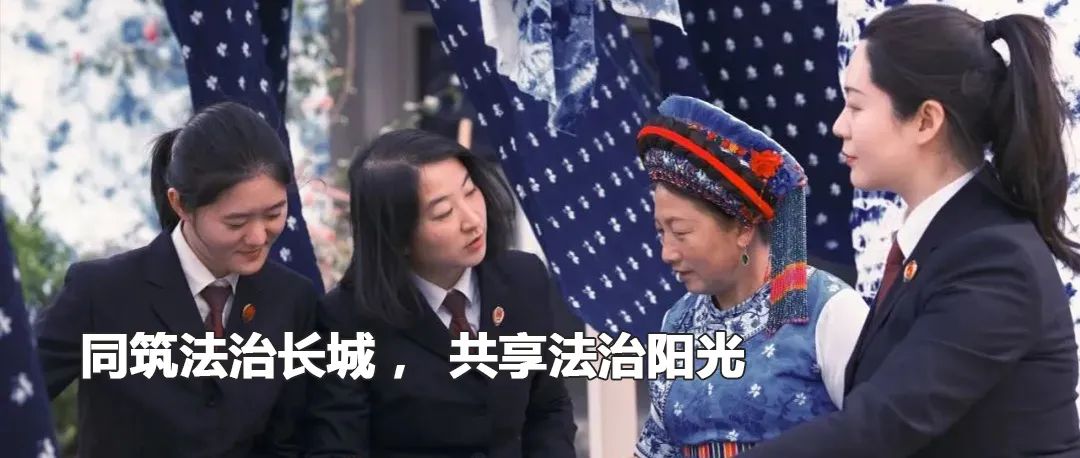 云南政法