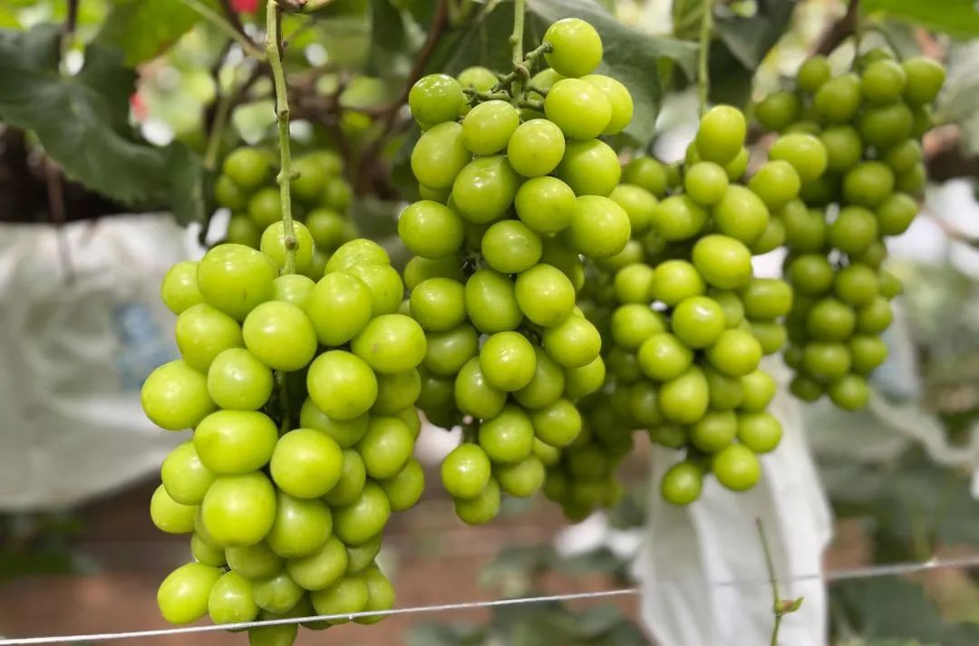 晋宁诗意的栖居地