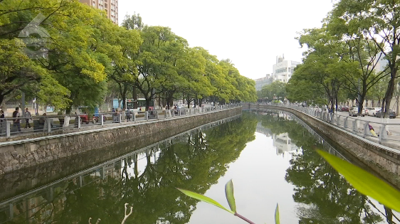 昆明信息港/cnkmxxg