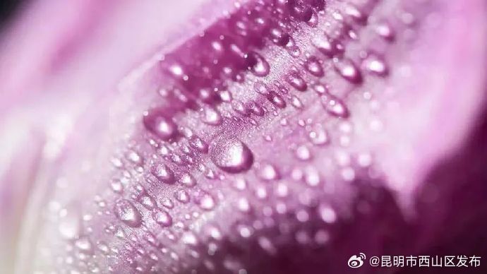 为什么有的人更容易出汗