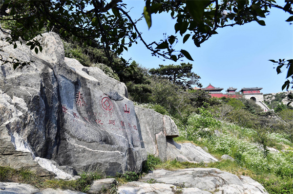 云南省文化和旅游厅