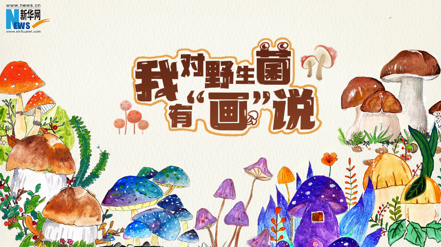 云南省文化和旅游厅