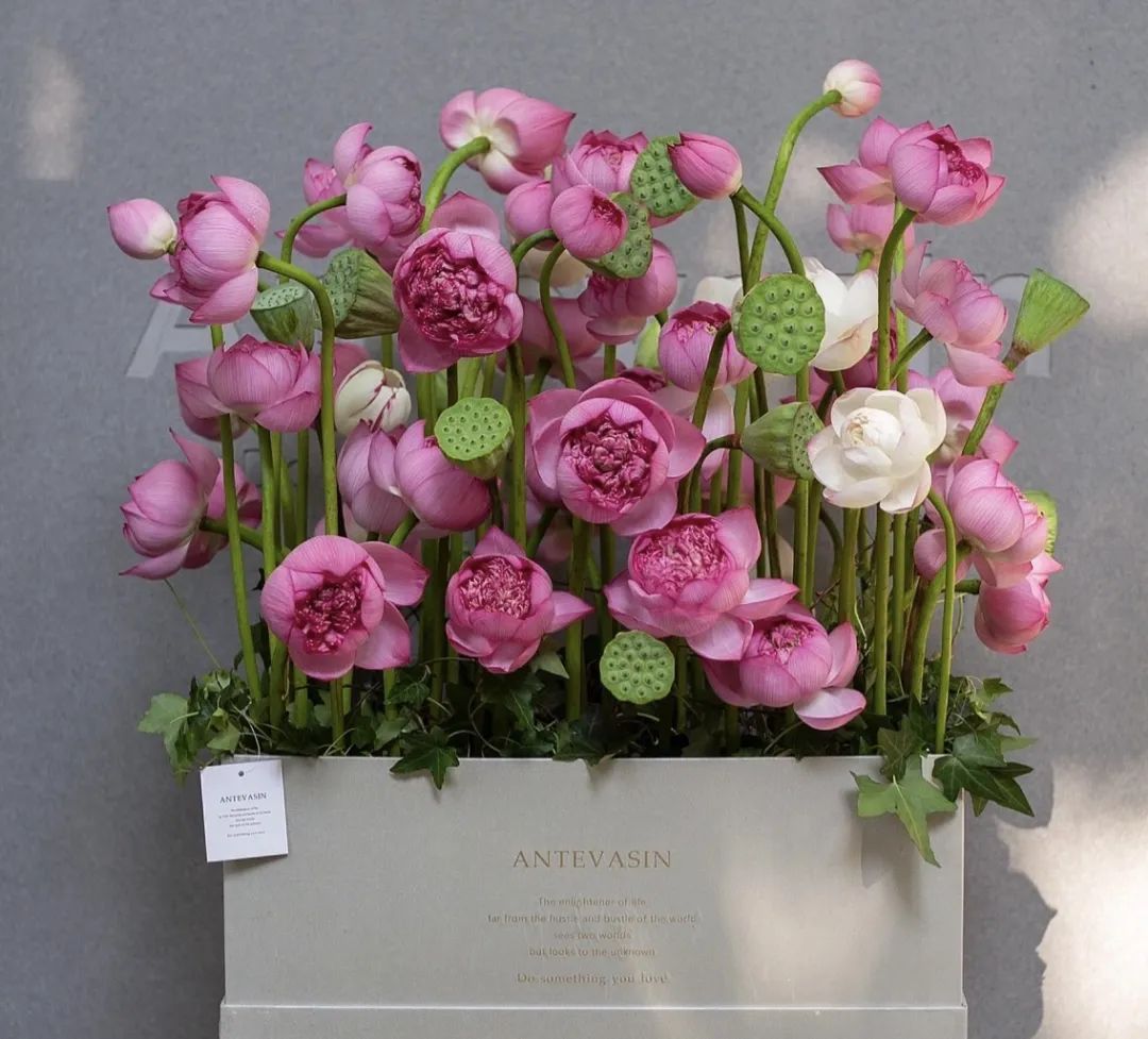 晋宁诗意的栖居地