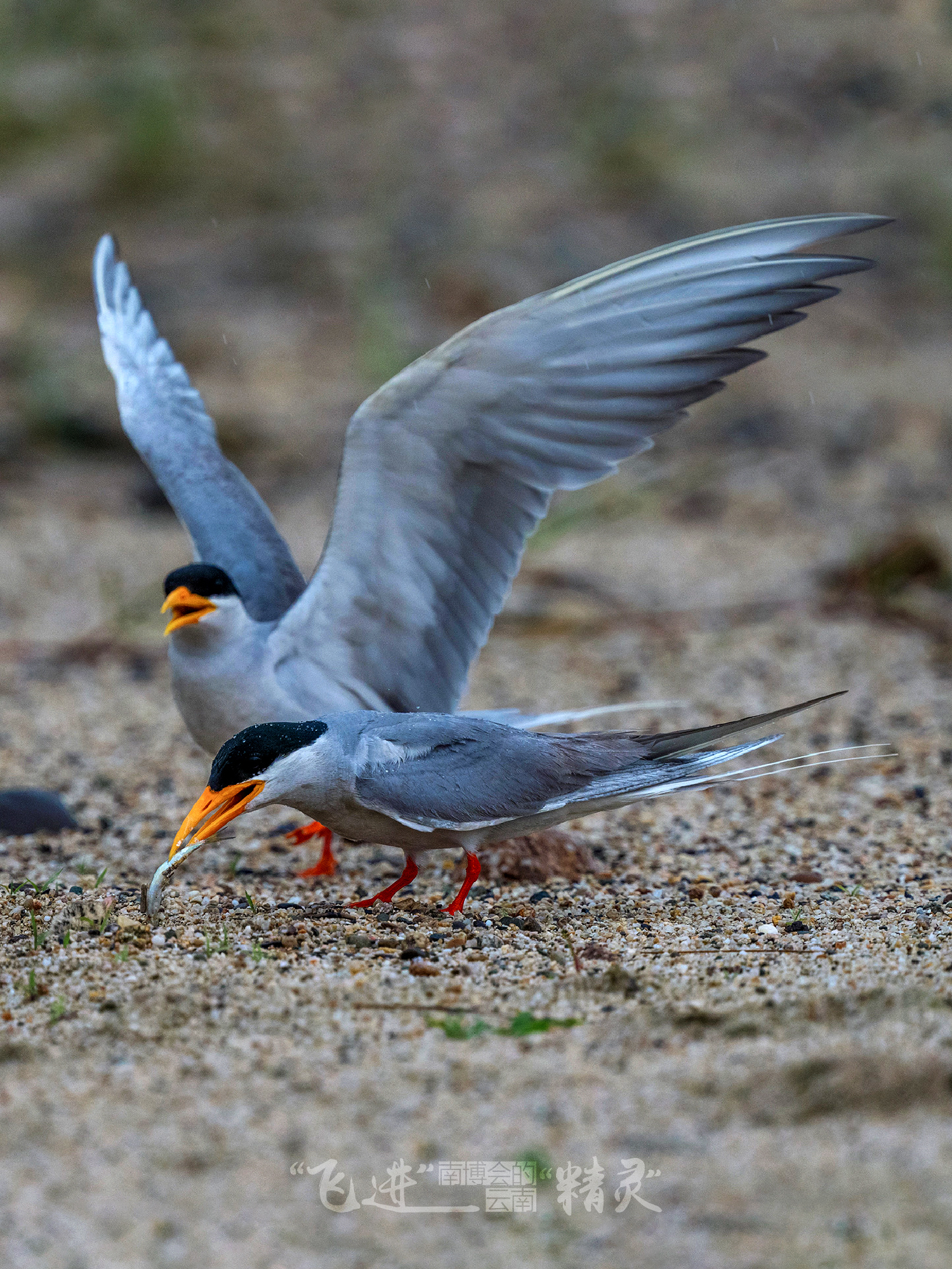 云南省文化和旅游厅