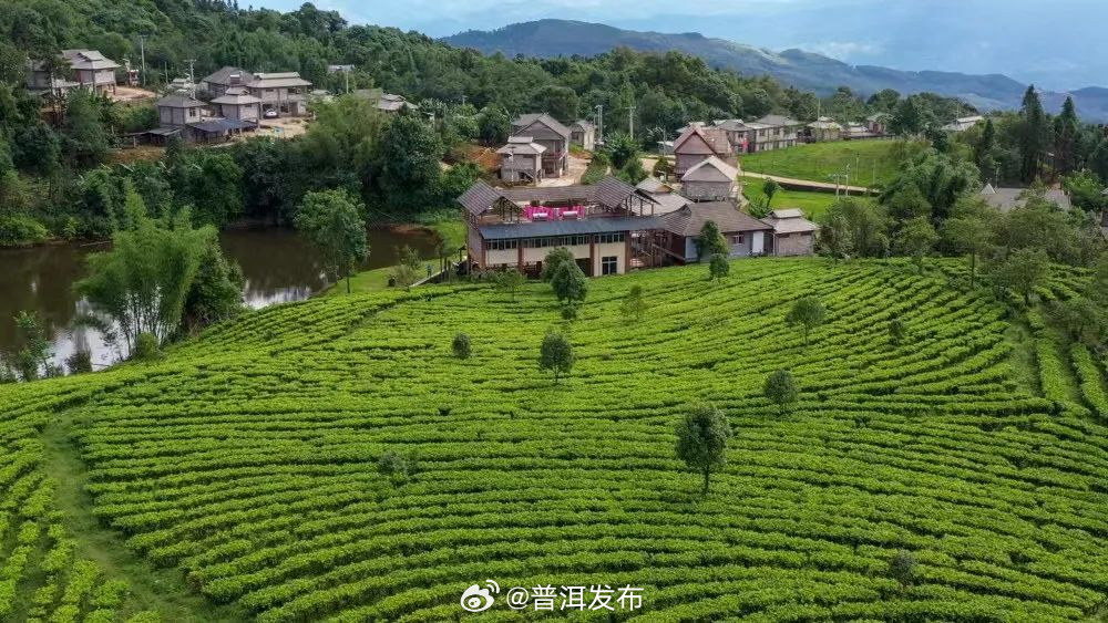 “国字号”的美！西盟这个村拟被推介为中国美丽休闲乡村