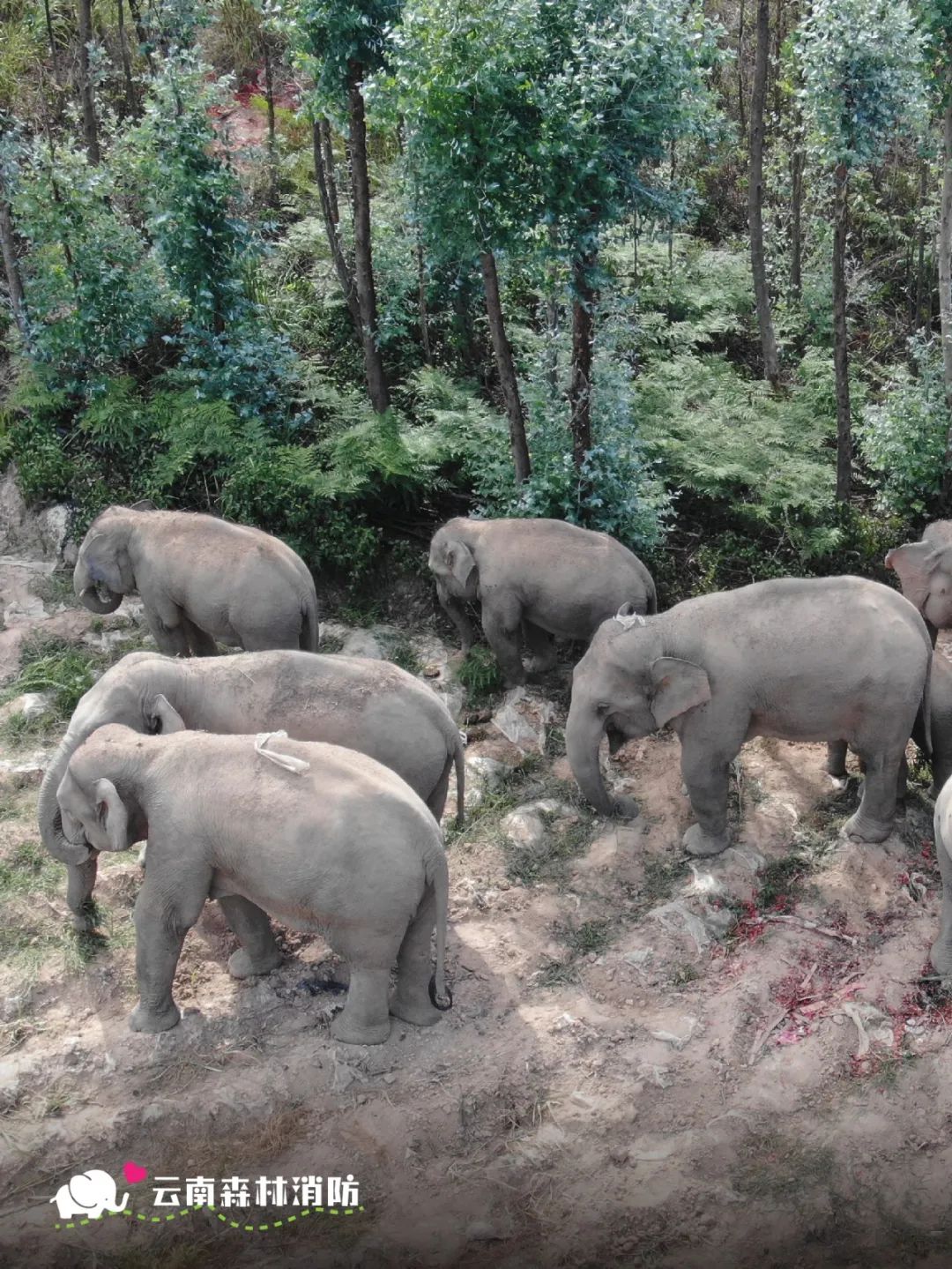 云南省文化和旅游厅