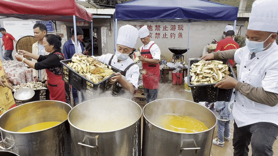 晋宁诗意的栖居地
