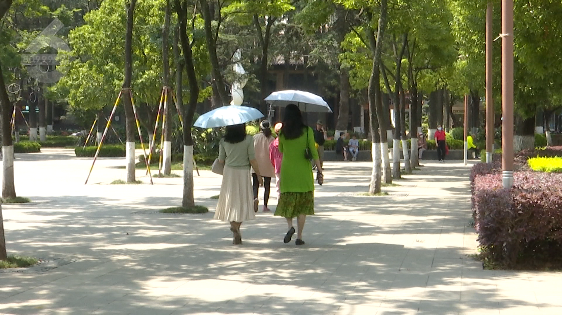 昆明信息港/cnkmxxg