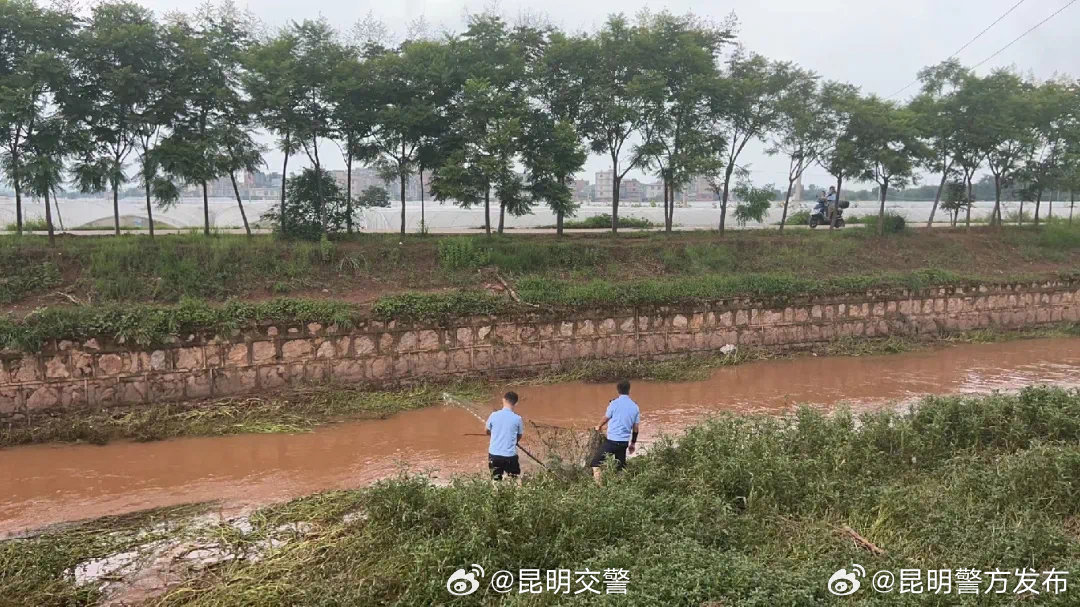 民警毫不犹豫挽起裤脚就下河 