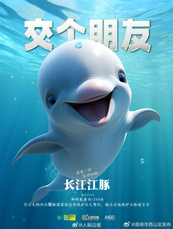 昆明市西山区发布