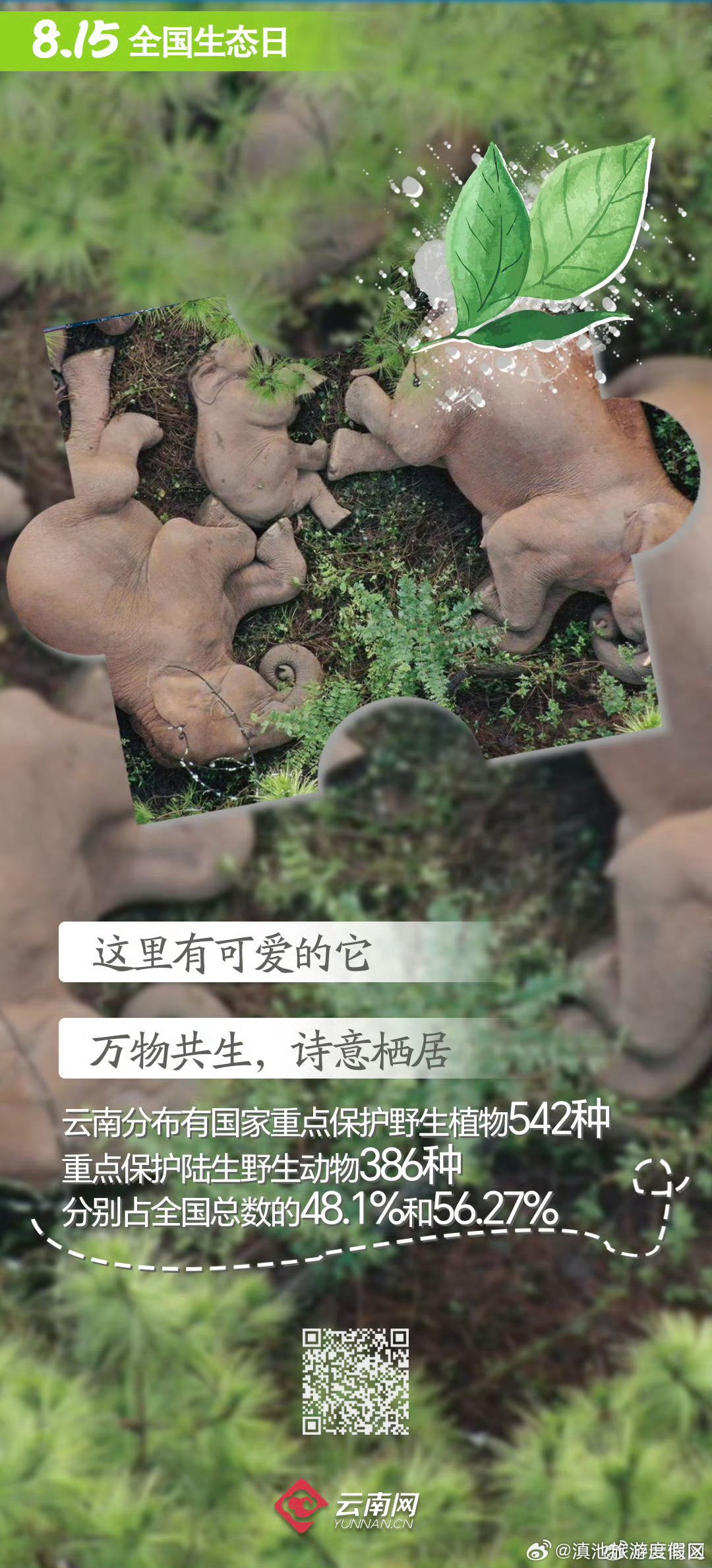 滇池旅游度假区