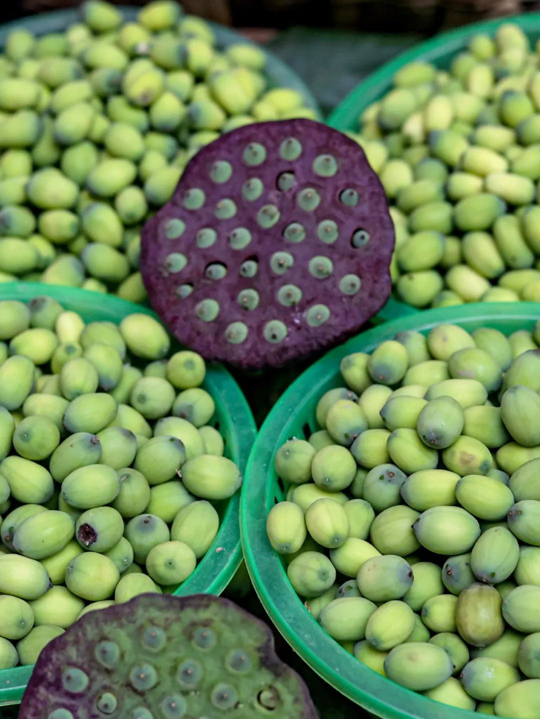 云南省文化和旅游厅