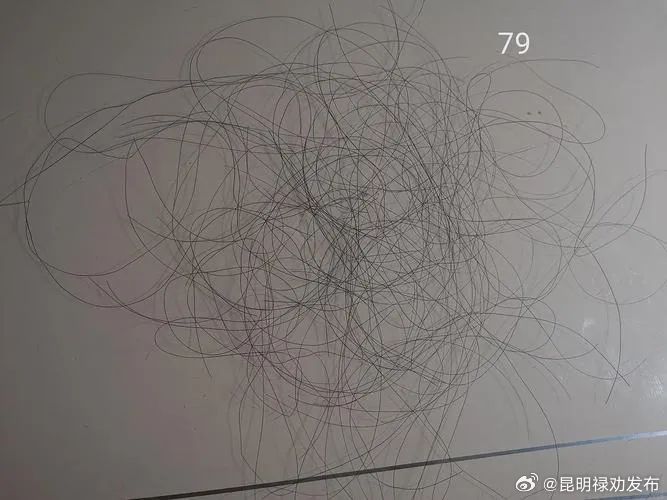 秋天头发会掉得更快