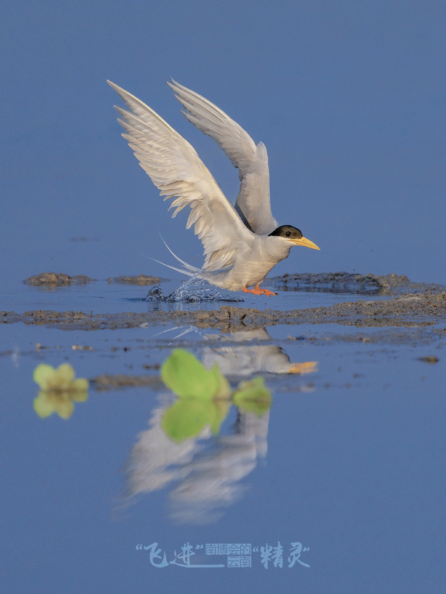 云南省文化和旅游厅