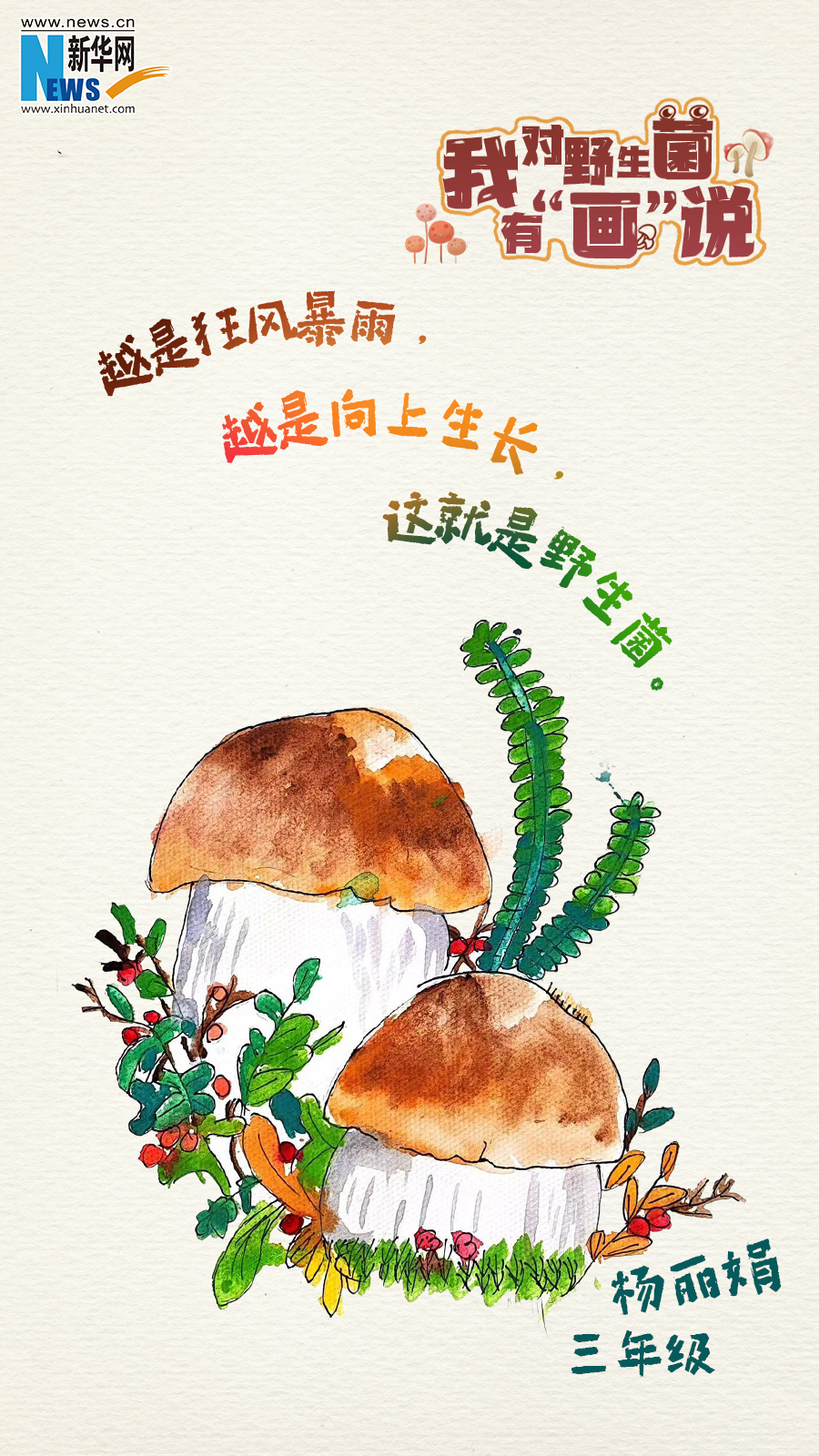 云南省文化和旅游厅