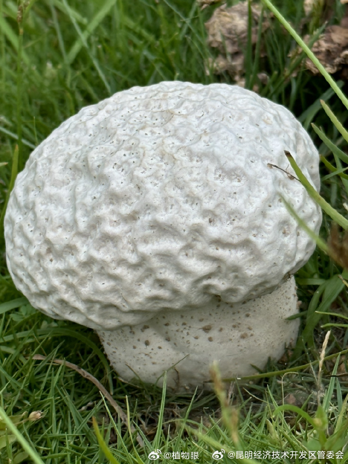 昆明经济技术开发区管委会