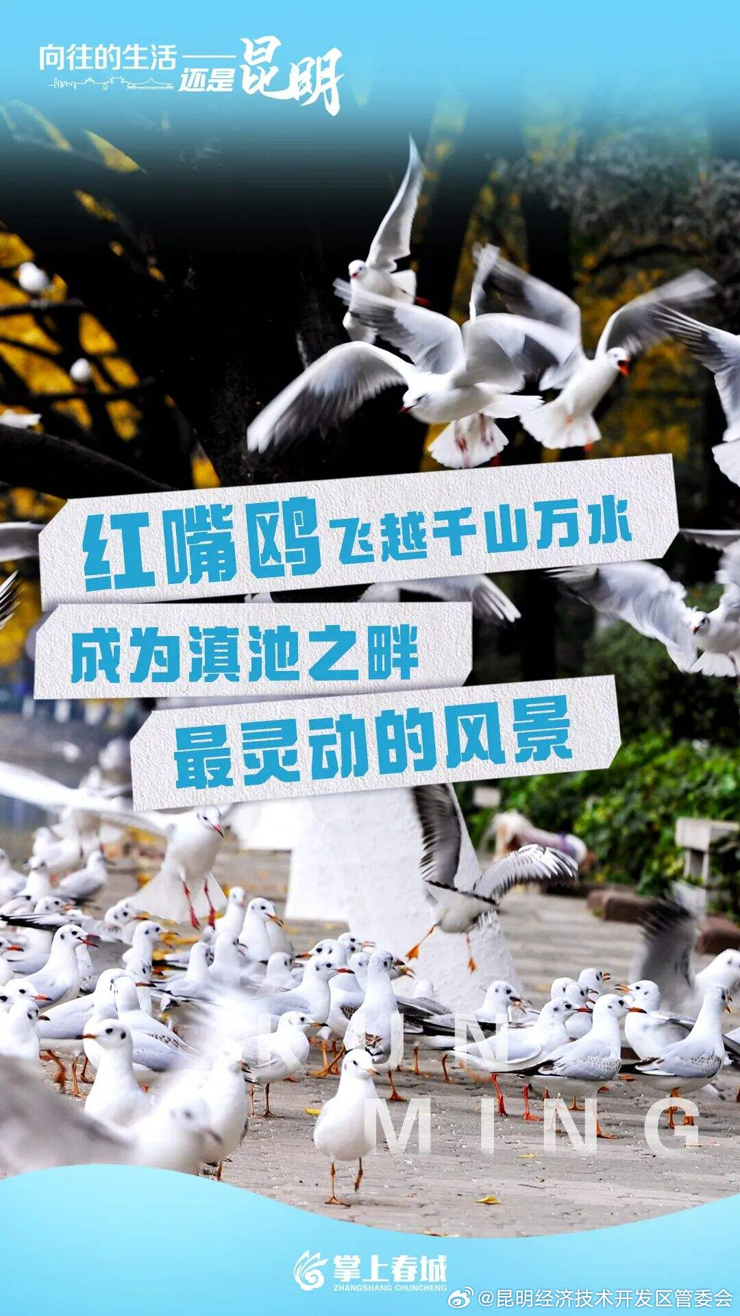 昆明经济技术开发区管委会