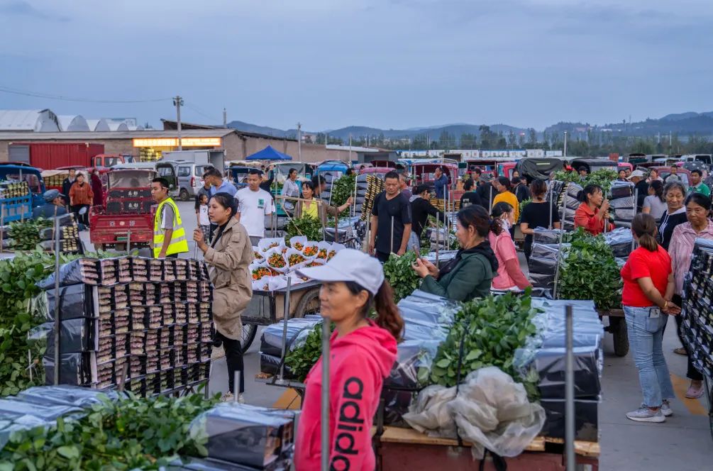 晋宁诗意的栖居地