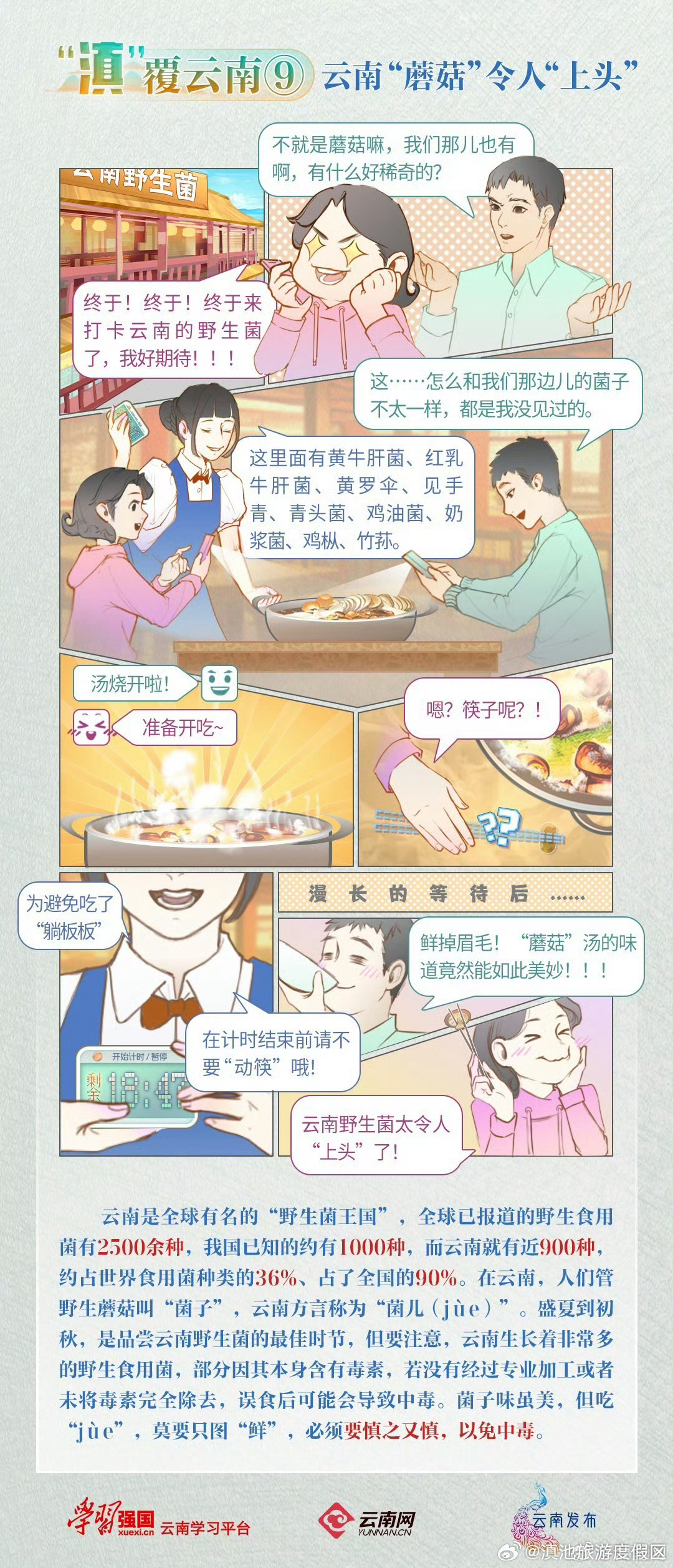 “滇”覆云南 | 云南“蘑菇”令人“上头”