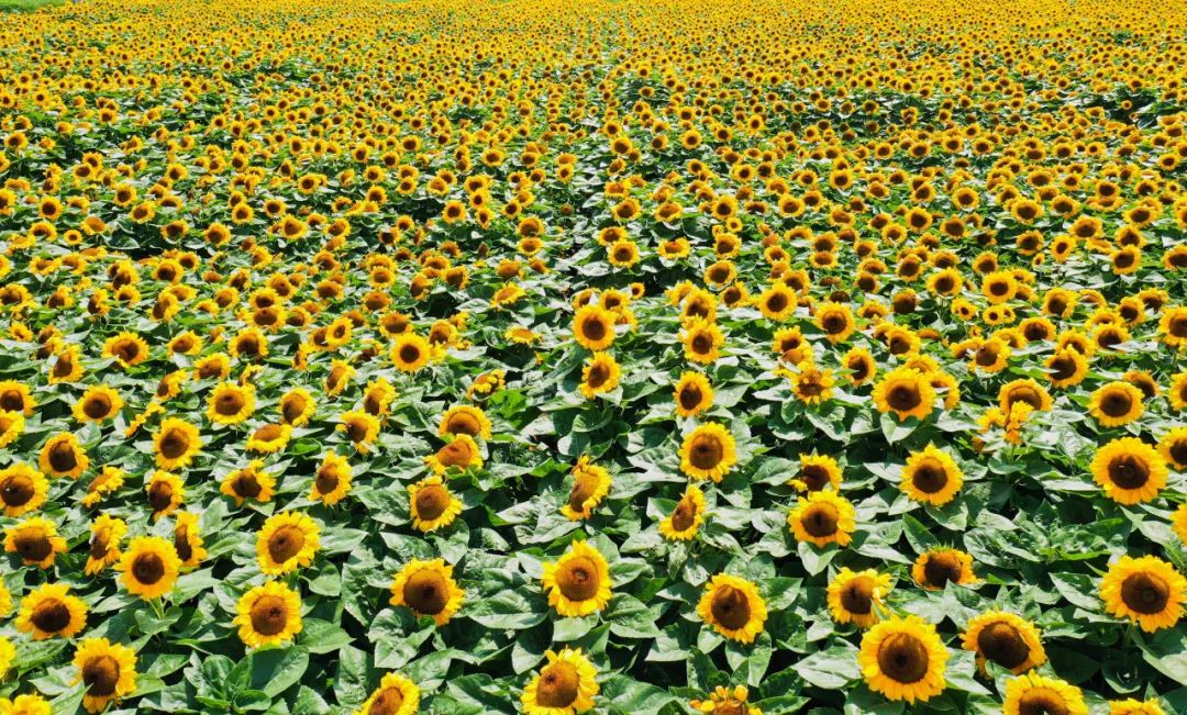 晋宁诗意的栖居地