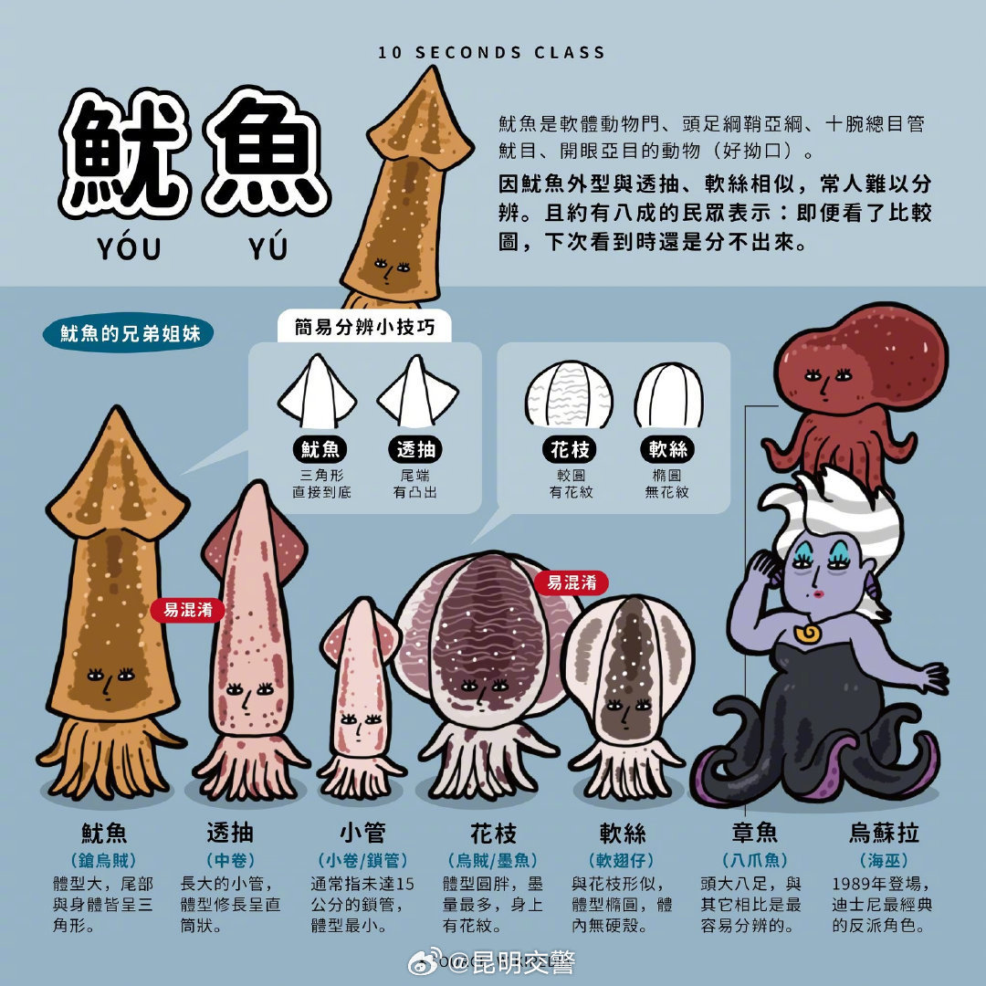昆明交警