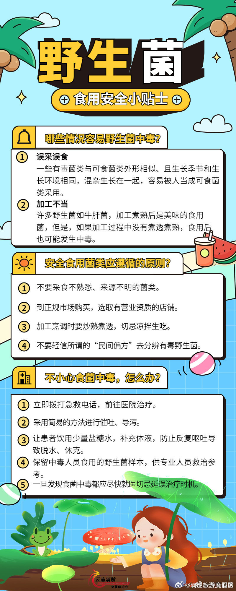 野生菌食用安全提示